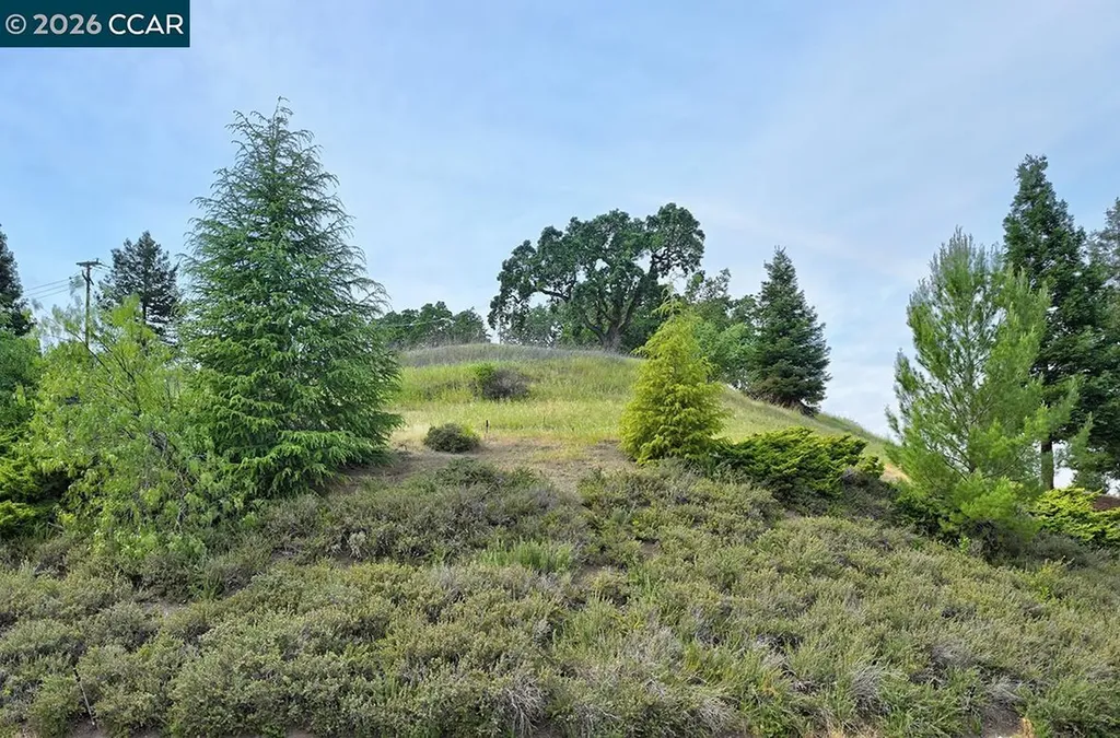1301 Leisure Lane Walnut Creek CA 94595