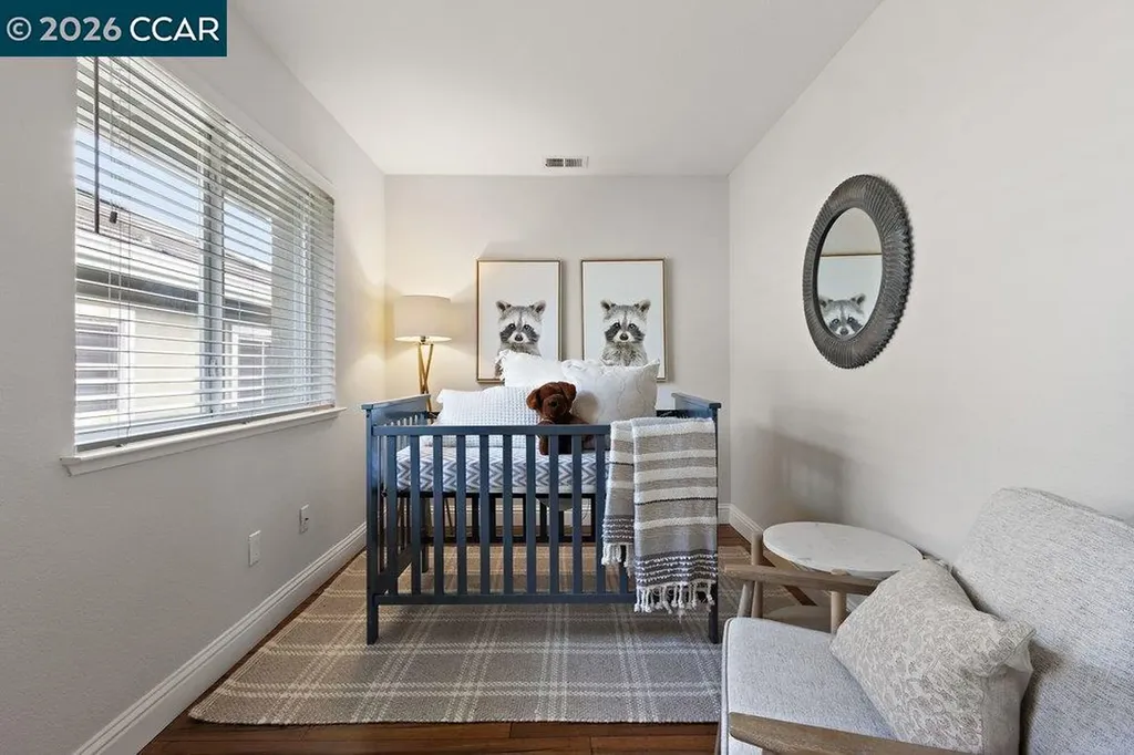 246 Stetson Drive Danville CA 94506