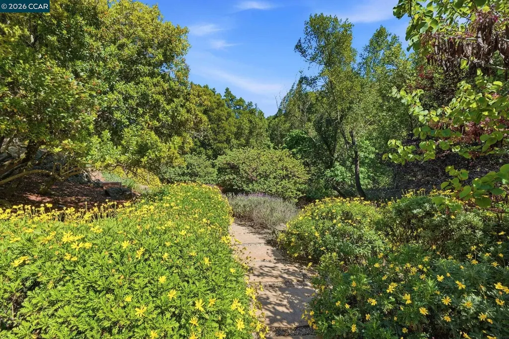 45 Merrill Circle Moraga CA 94556