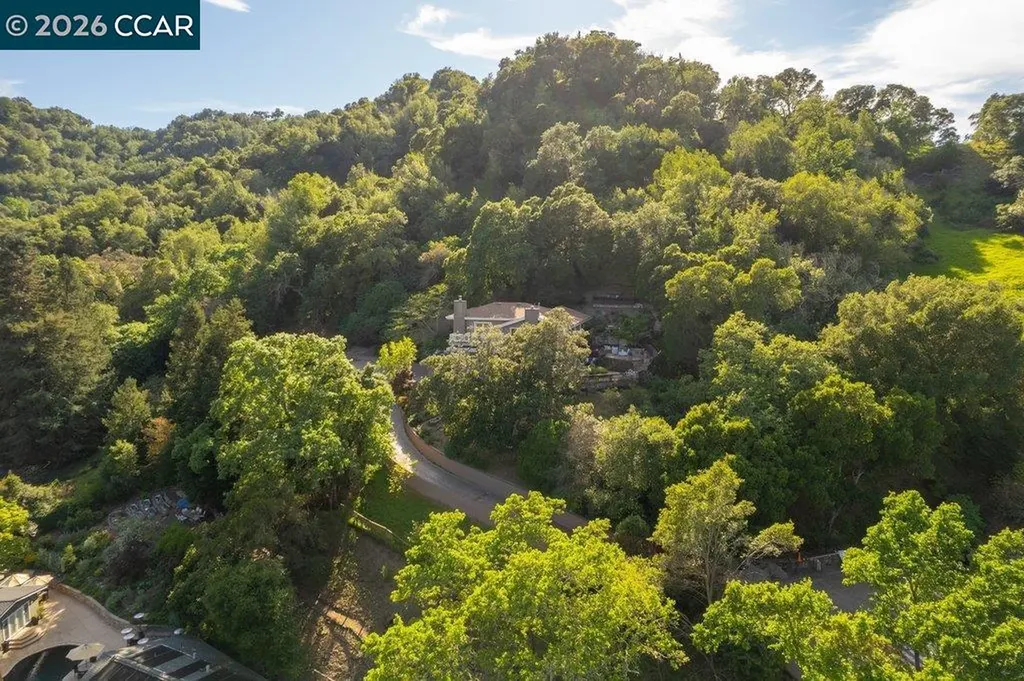 14 Springhill Lane Lafayette CA 94929