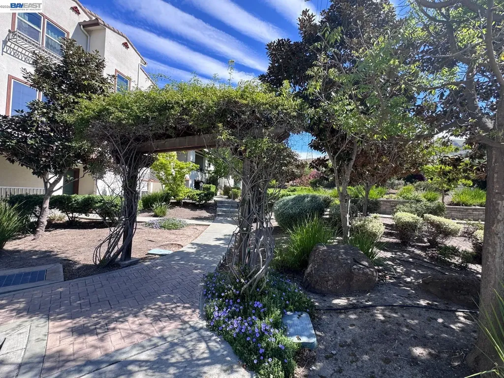 43886 Paso Pino Common Fremont CA 94539