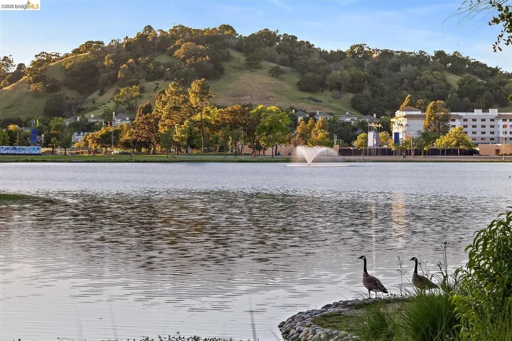 319 San Pedro Road San Rafael CA 94903
