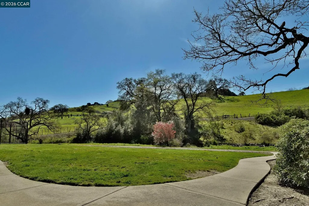 1000 Shady Creek Place Danville CA 94526