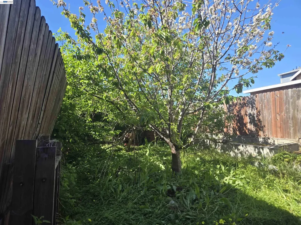 1345 53rd Avenue Oakland CA 94601