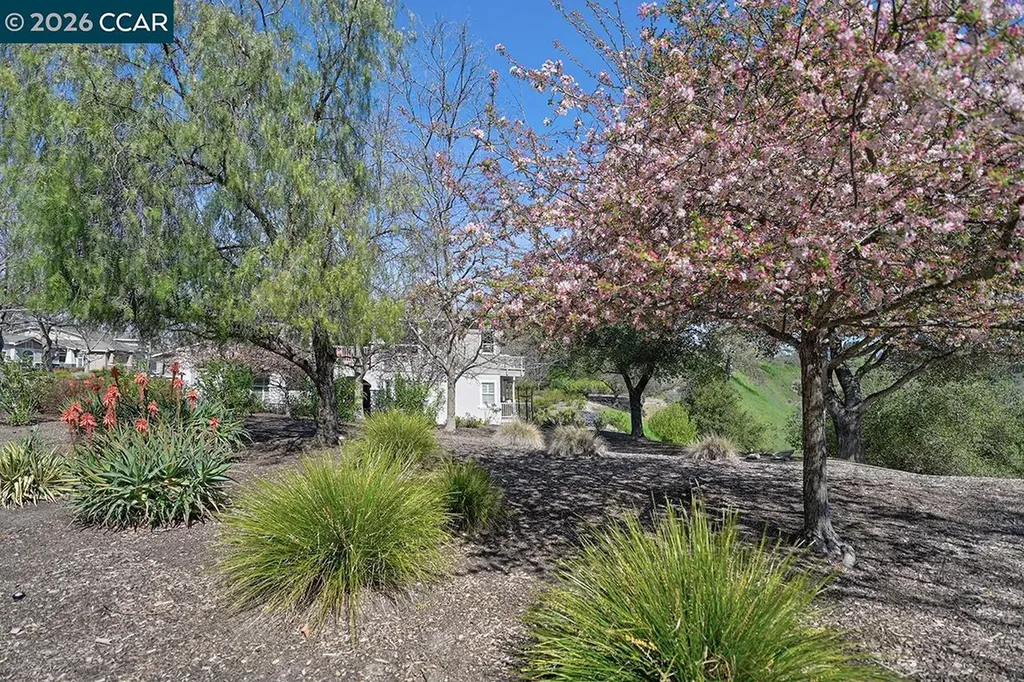 2886 Saklan Indian Drive Walnut Creek CA 94595