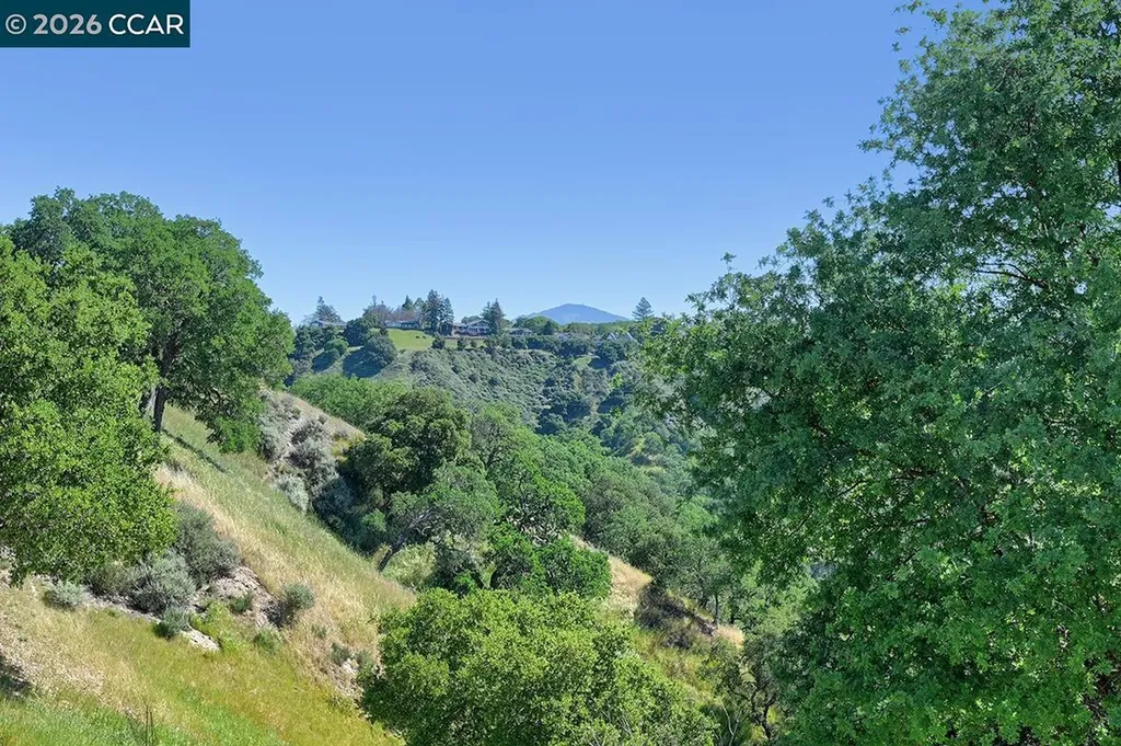 2886 Saklan Indian Drive Walnut Creek CA 94595