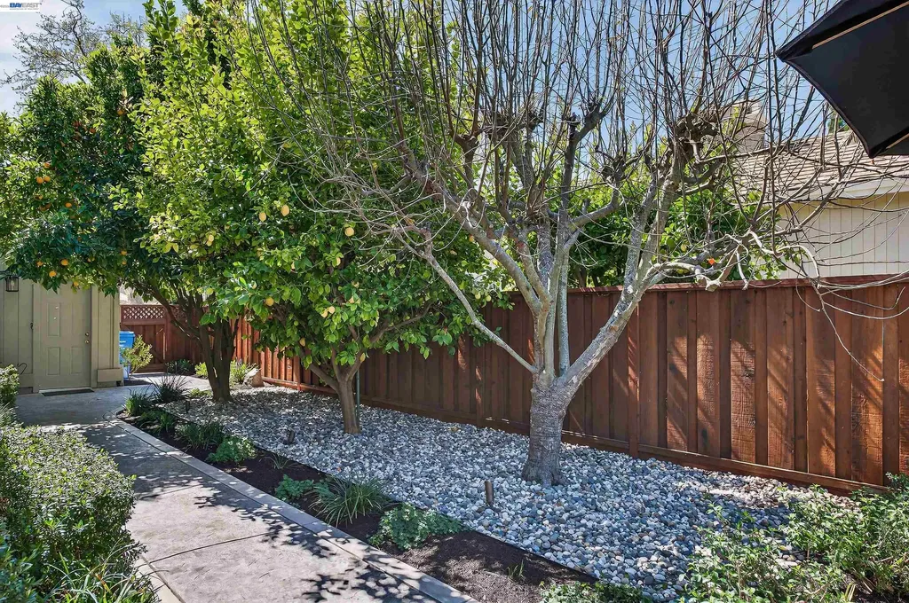 513 Buttonwood Drive Danville CA 94506
