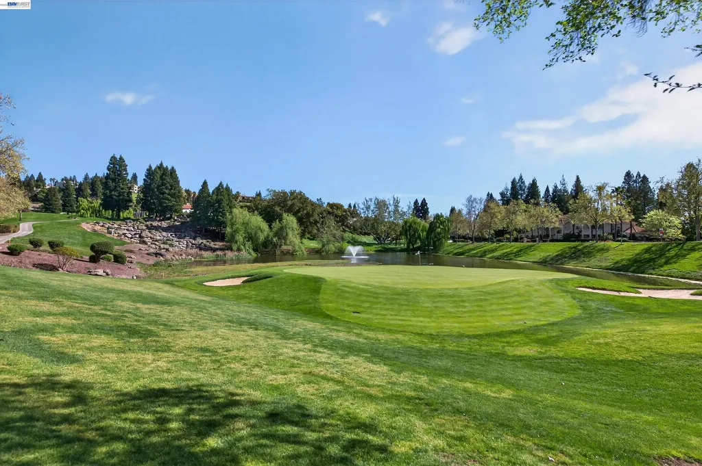 513 Buttonwood Drive Danville CA 94506