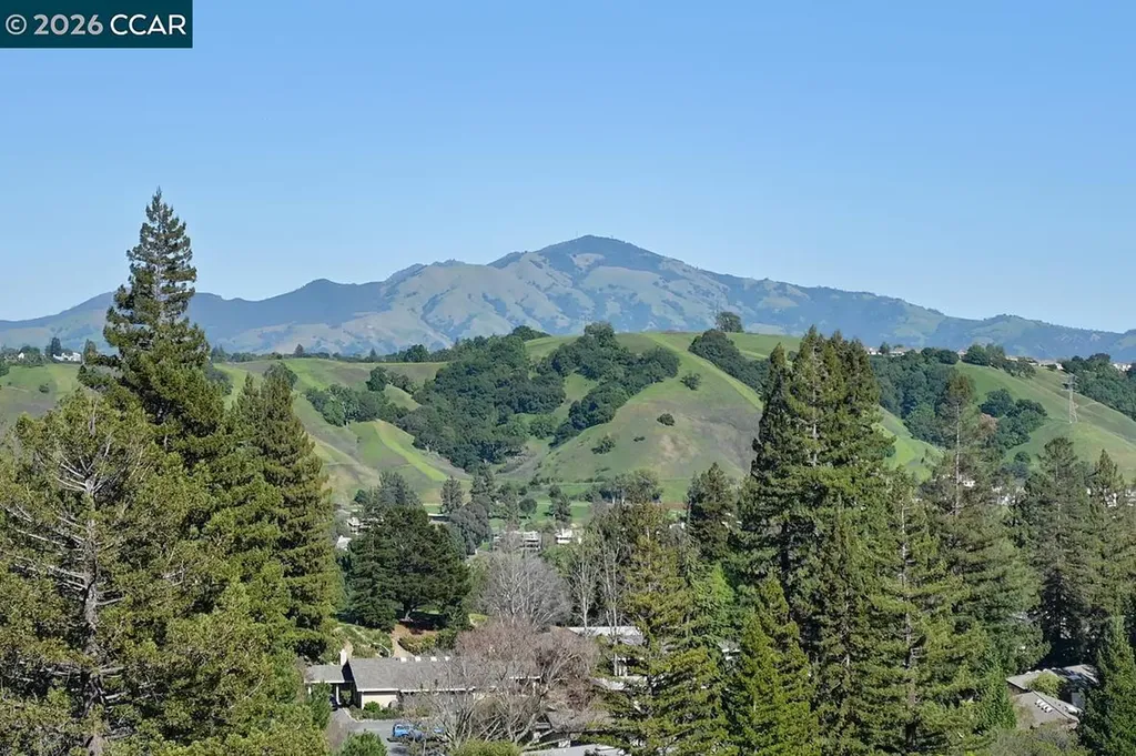 3318 Ptarmigan Drive Walnut Creek CA 94595