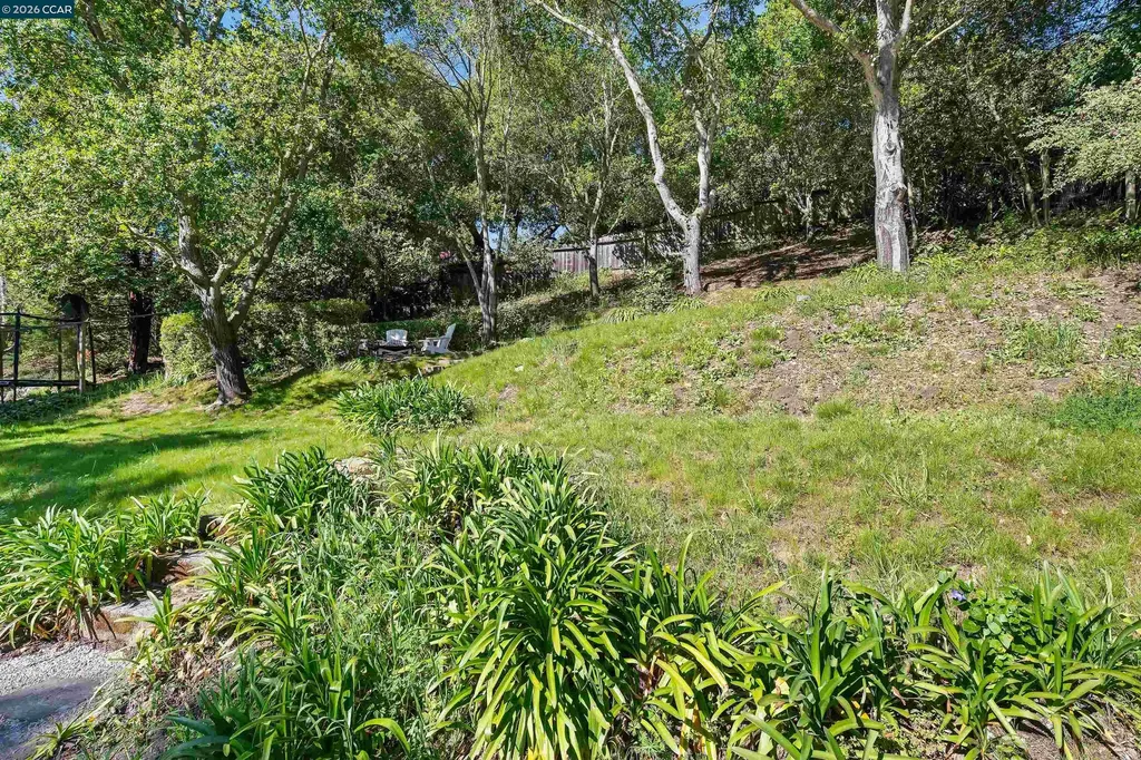 120 Las Vegas Orinda CA 94563