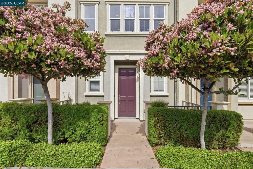252 Sullivan Way Hayward CA 94541