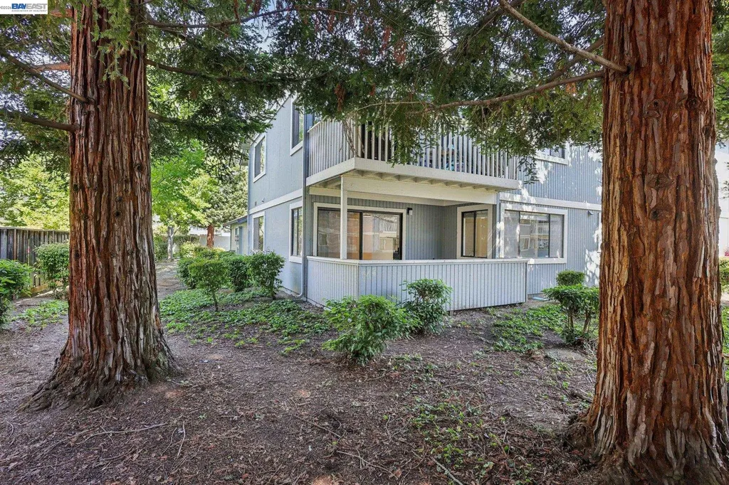 34671 Agree Terrace Fremont CA 94555