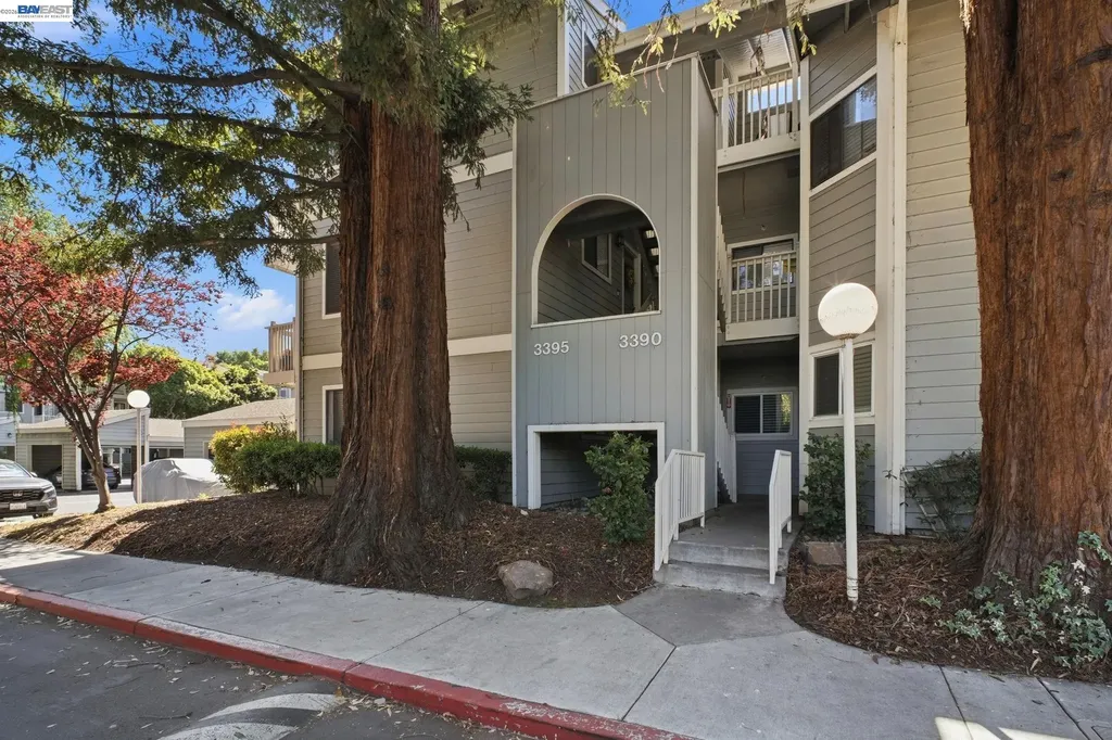 3395 Pinewood Terrace Fremont CA 94536