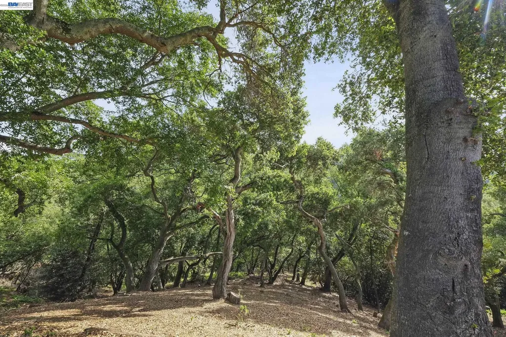 6034 Slopeview Court Castro Valley CA 94552