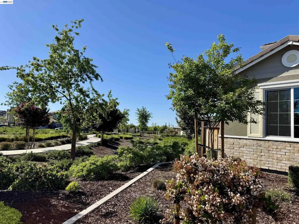 464 Coolcrest Drive Oakley CA 94561