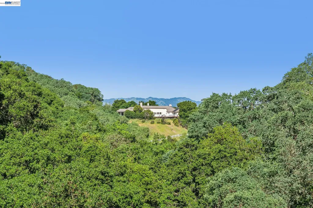 44 Hagen Oaks Court Alamo CA 94507