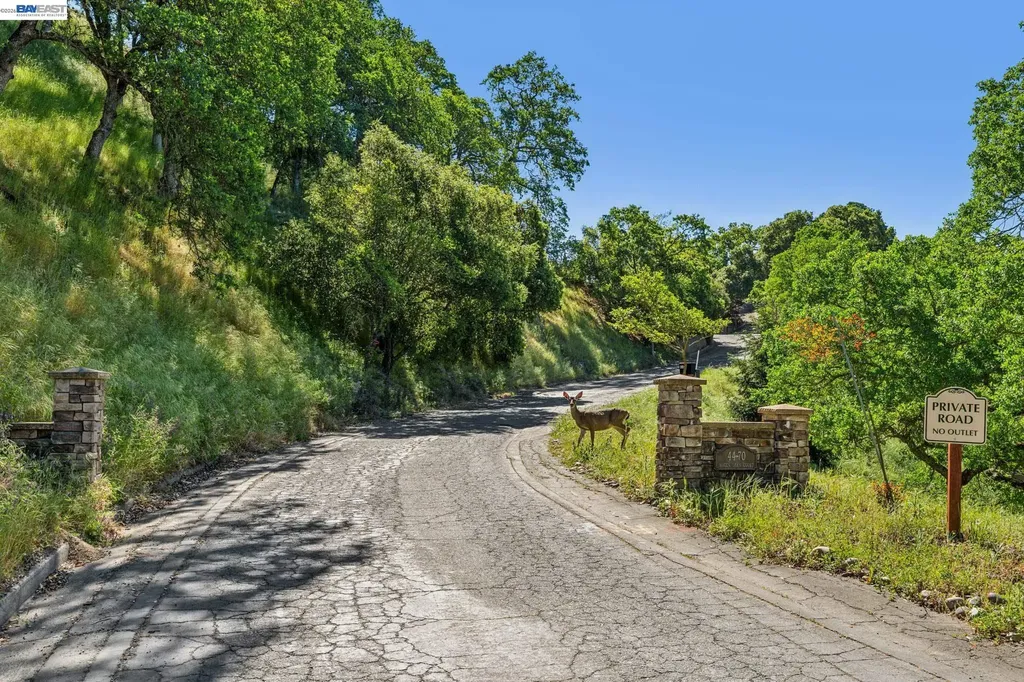 44 Hagen Oaks Court Alamo CA 94507