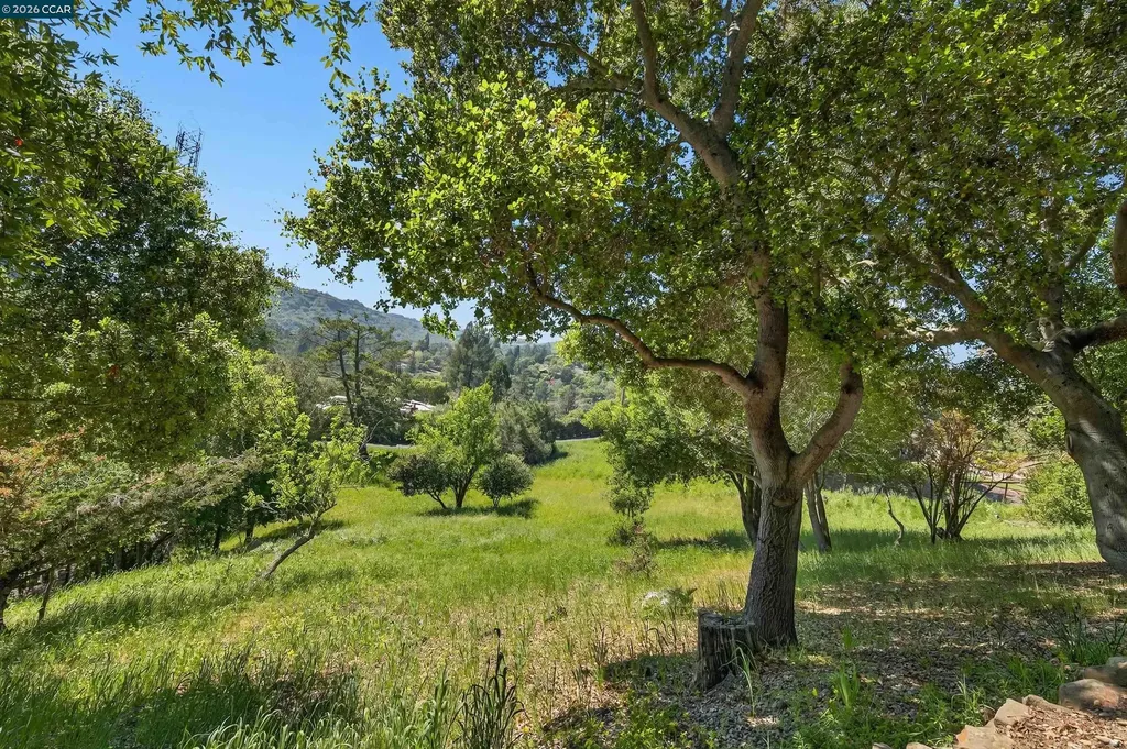 15 Crown Court Orinda CA 94563