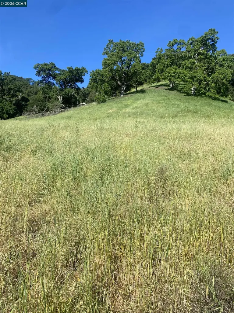 Toyon Road Lafayette CA 94549