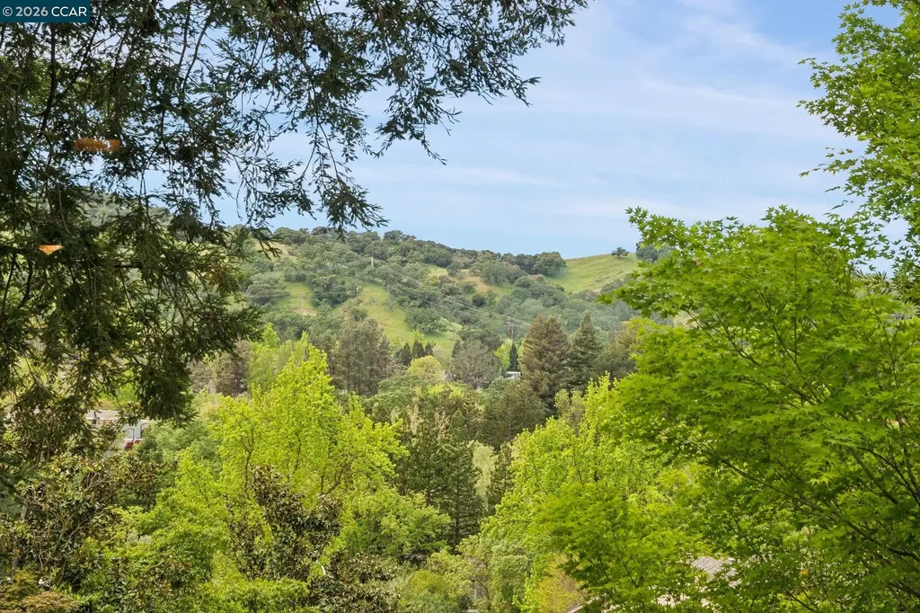 2075 Cactus Court Walnut Creek CA 94595
