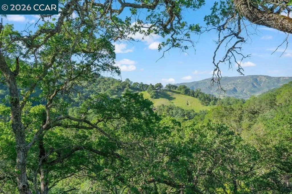 98 Oak Springs Drive Napa CA 94558