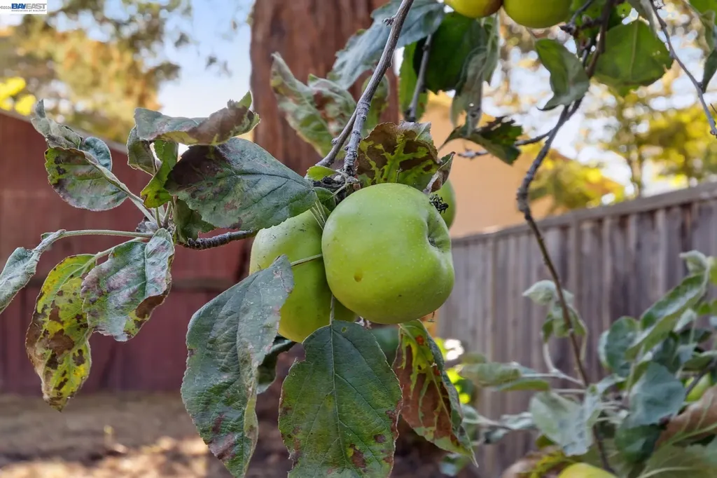 3246 Garfield Avenue Alameda CA 94501