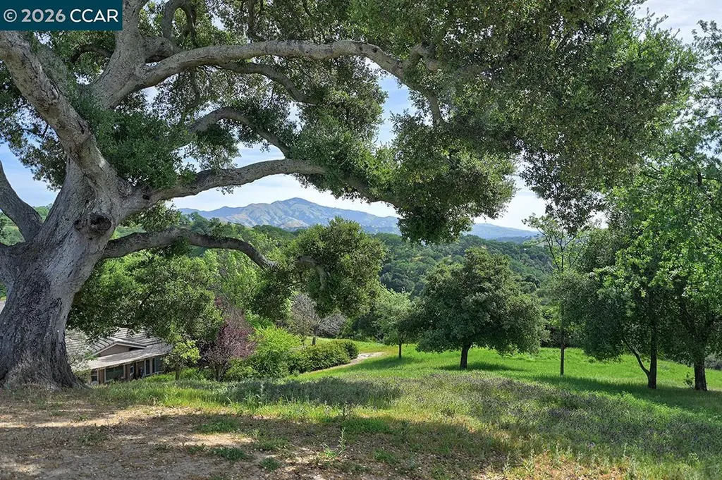 532 Spotted Owl Court Walnut Creek CA 94595
