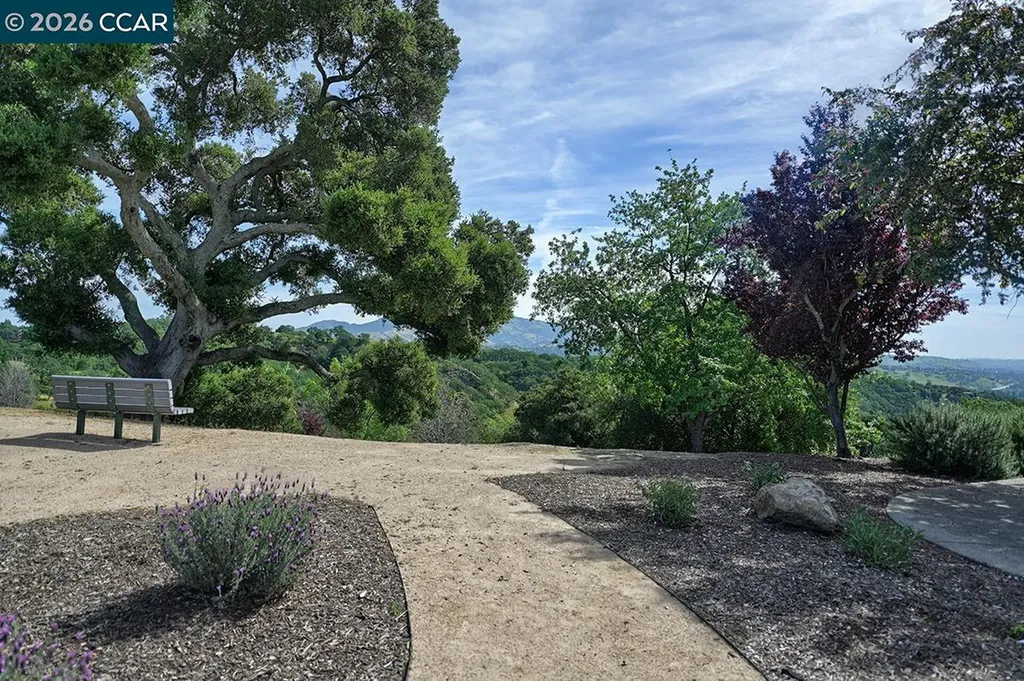 532 Spotted Owl Court Walnut Creek CA 94595