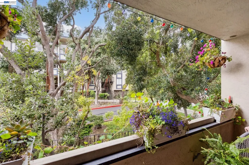 955 Shorepoint Court Alameda CA 94501