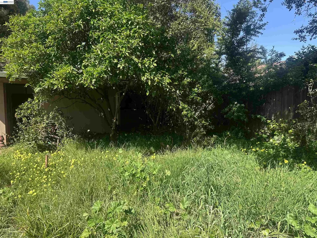 2533 Harrington Avenue Oakland CA 94601