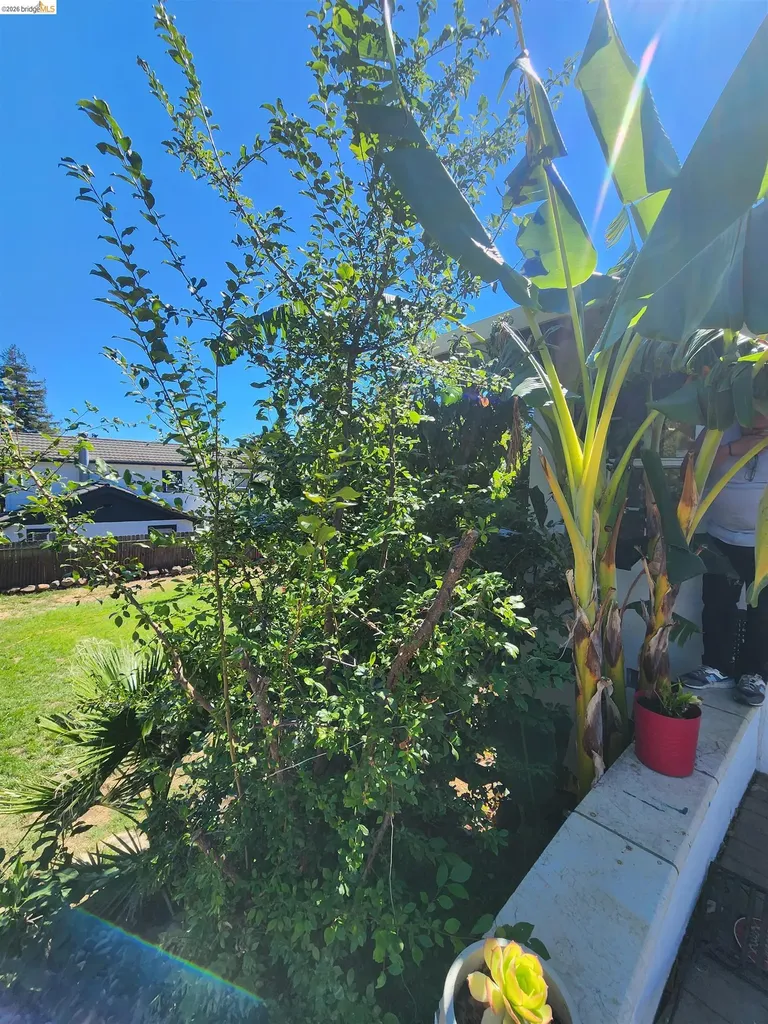 21 Monte Vista Avenue Vallejo CA 94590