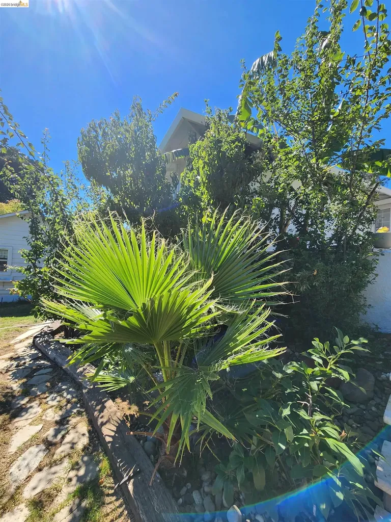 21 Monte Vista Avenue Vallejo CA 94590