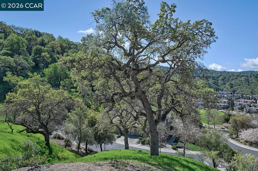 539 High Eagle Court Walnut Creek CA 94595