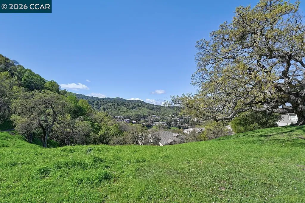 539 High Eagle Court Walnut Creek CA 94595