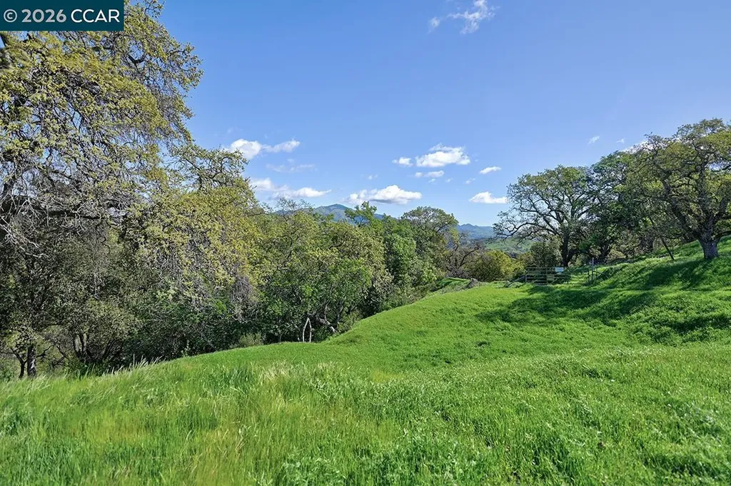 539 High Eagle Court Walnut Creek CA 94595