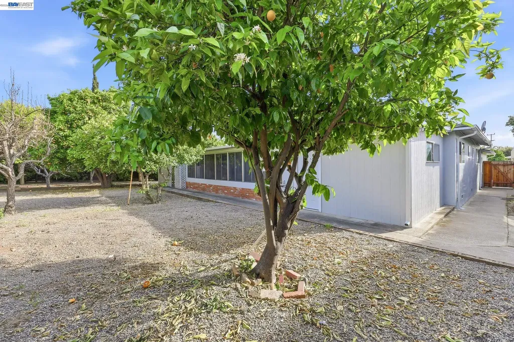 40242 Crockett Street Fremont CA 94538