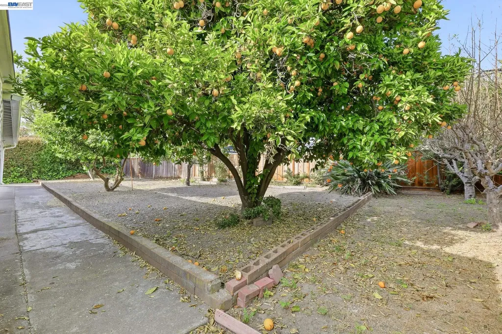 40242 Crockett Street Fremont CA 94538