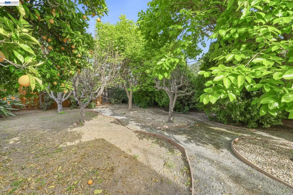 40242 Crockett Street Fremont CA 94538