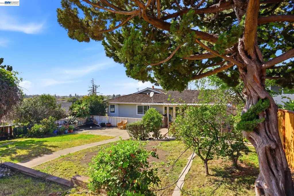 1233 Benedict Court San Leandro CA 94577
