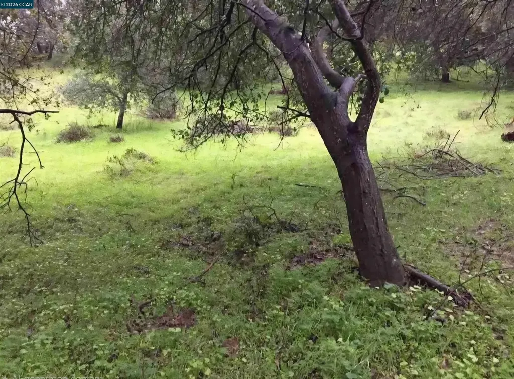 16 Brandywine Way Martinez CA 94553