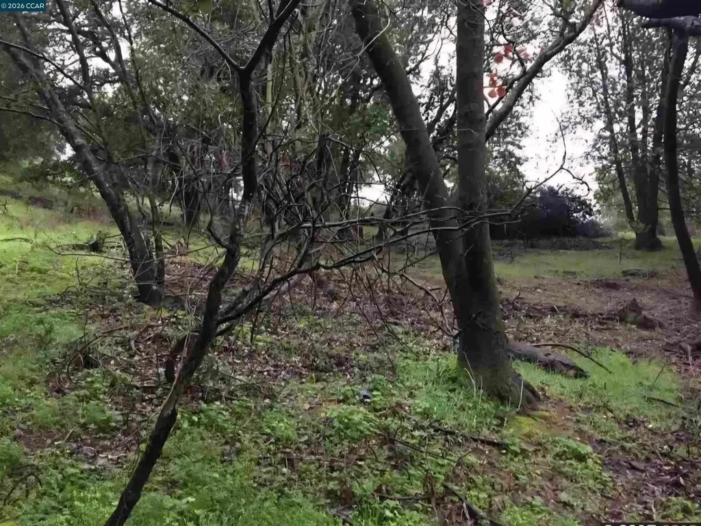 16 Brandywine Way Martinez CA 94553