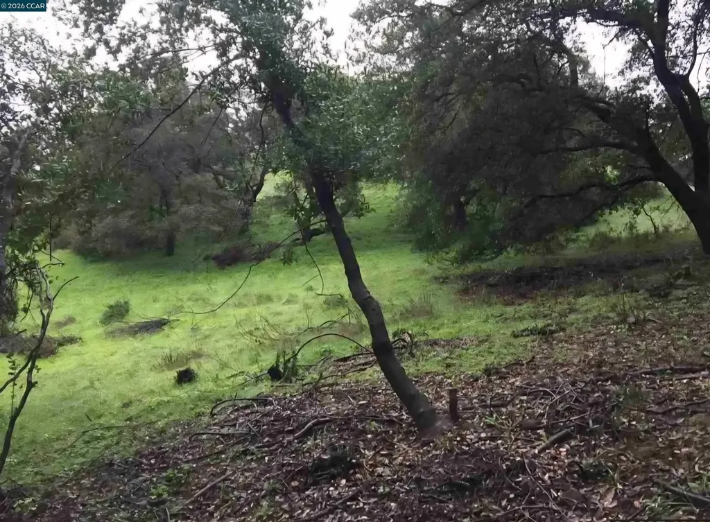 16 Brandywine Way Martinez CA 94553