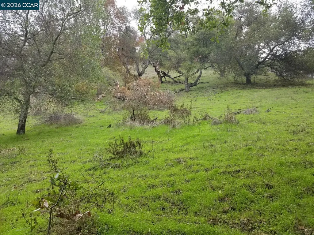 16 Brandywine Way Martinez CA 94553