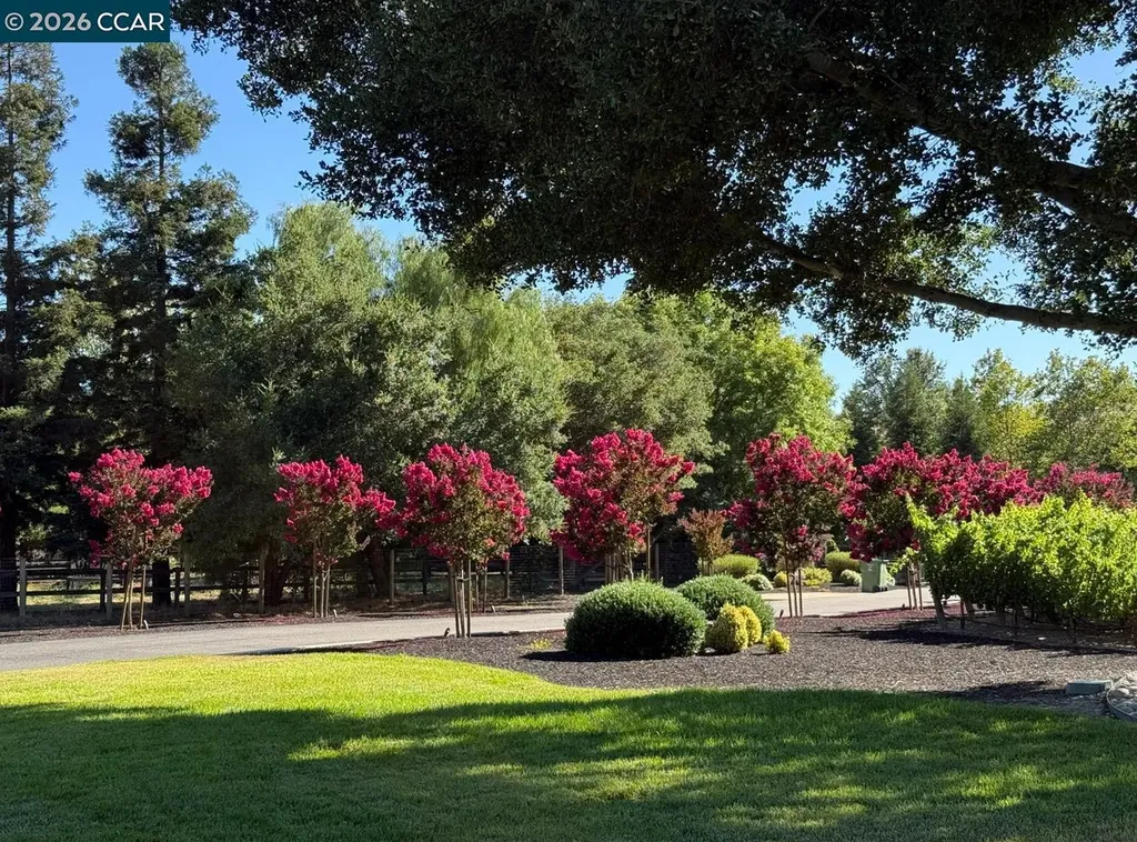 5401 Penny Lane Danville CA 94506