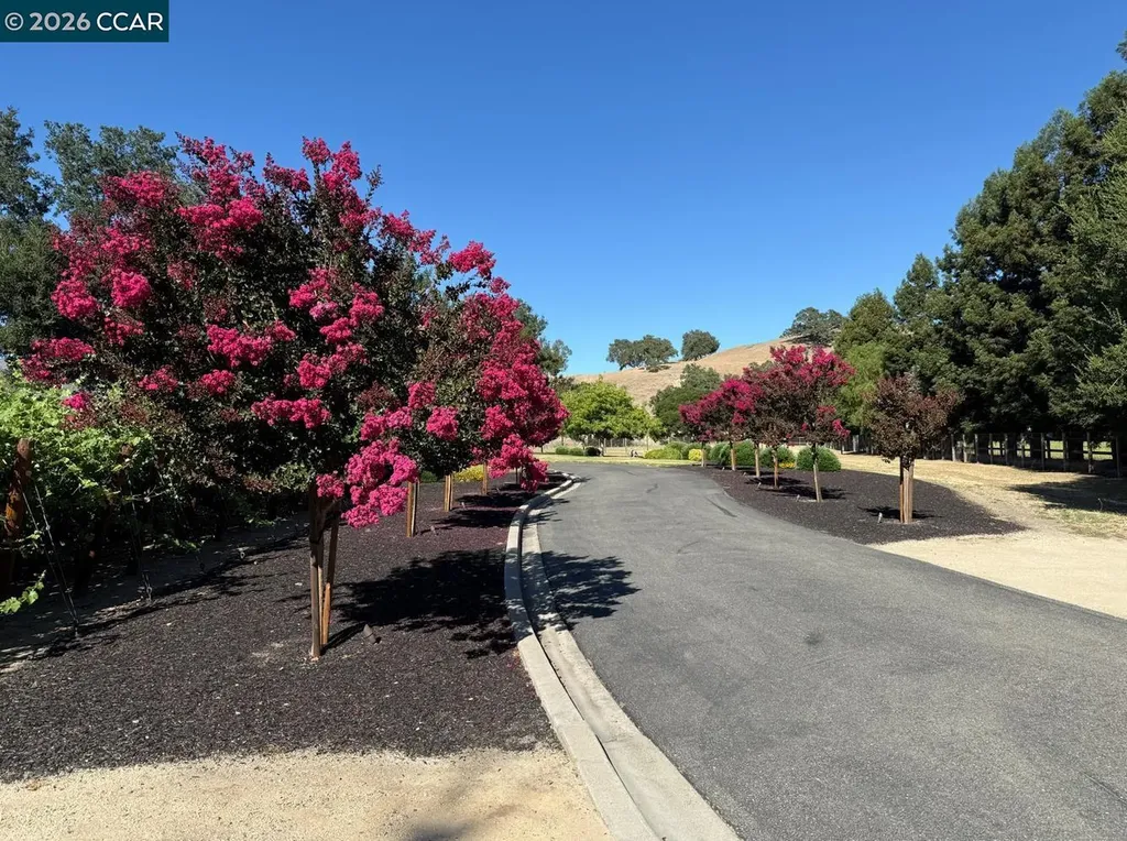 5401 Penny Lane Danville CA 94506