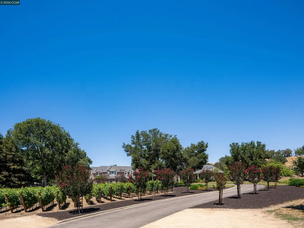 5401 Penny Lane Danville CA 94506