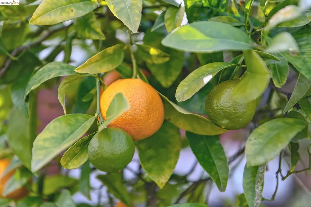 1066 Bayview Avenue Oakland CA 94610