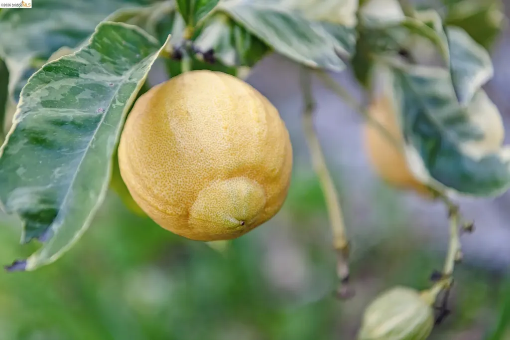 1066 Bayview Avenue Oakland CA 94610