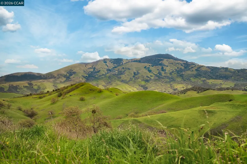 145 Sugar Creek Lane Alamo CA 94507