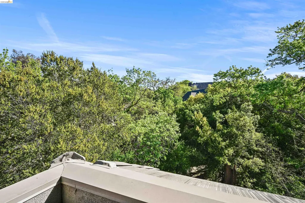 1000 Dewing Avenue Lafayette CA 94549